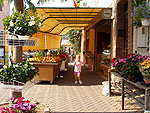 Ferienhaus Provence