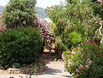 Ferienhaus Provence